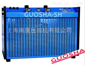 上海國(guó)廈壓縮機(jī)